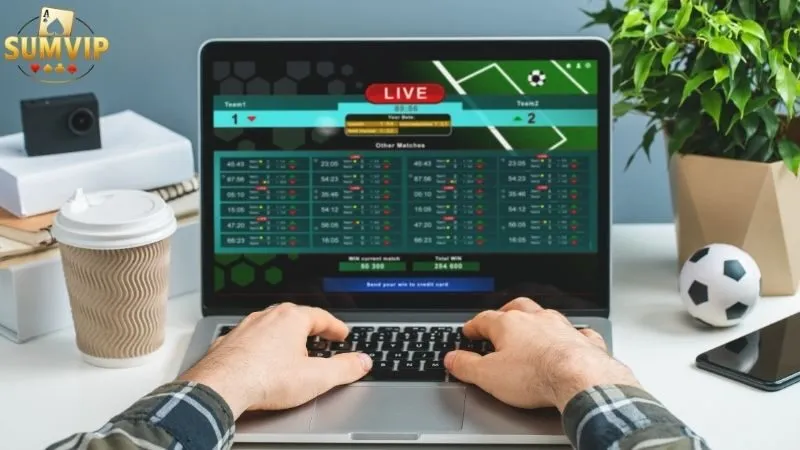 Tin Tức Sumvip – Cập Nhật Tin Tức, Sự Kiện Mới Nhất Từ Sumvip