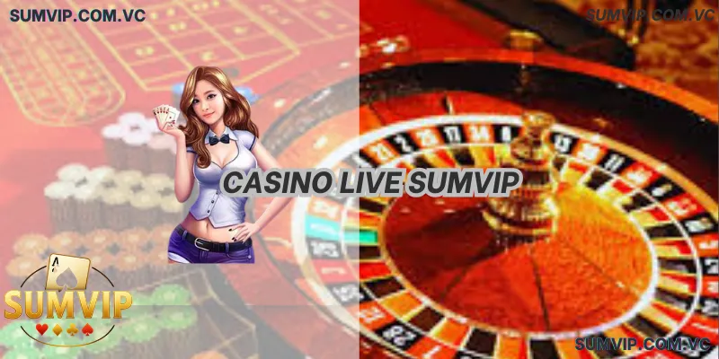 Casino Live SumVIP – Dealer thật, phát sóng trực tiếp, thao tác mượt.